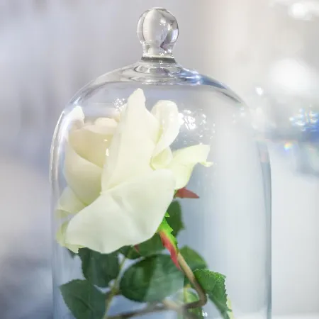 Elegant - In Centro Portanuova *